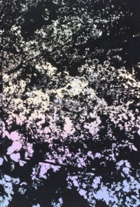 森山大道/ Daido Moriyama： Ango (日本語版)(サイン入り)