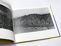 尾仲浩二: 背高あわだち草(サイン本)