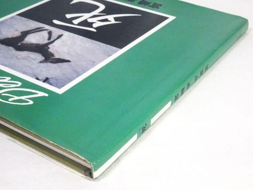 死 宮崎学写真集 - 古本買取販売 ハモニカ古書店 建築 美術 写真集