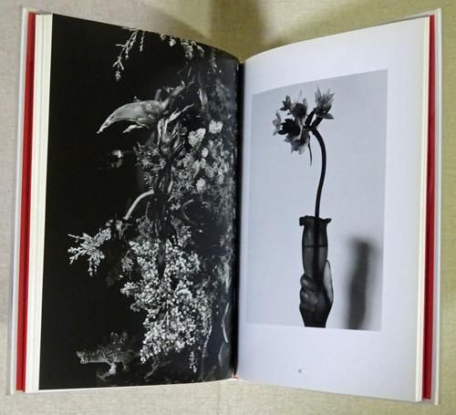 荒木経惟写真集 花陰 - 古本買取販売 ハモニカ古書店 建築 美術 写真集