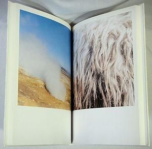 AILA 川内倫子サイン入り AILA 川内倫子サイン入り AILA 川内倫子