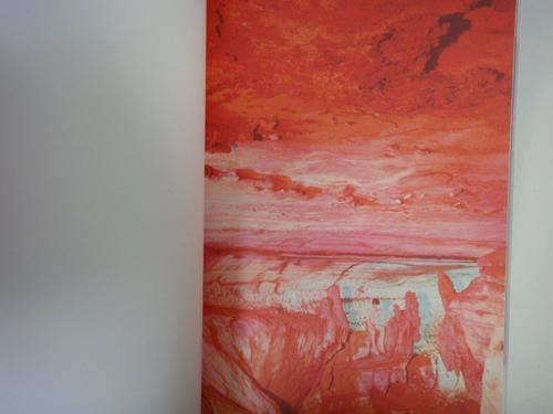 Ryan McGinley: Moonmilk ライアン・マッギンレー - 古本買取販売