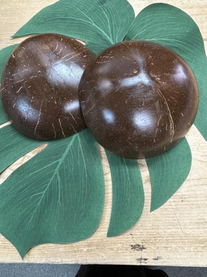 プニウ ココナッツ楽器 PUNIU