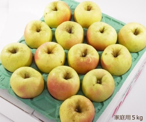 ぐんま名月りんご 光センサー選果済み品