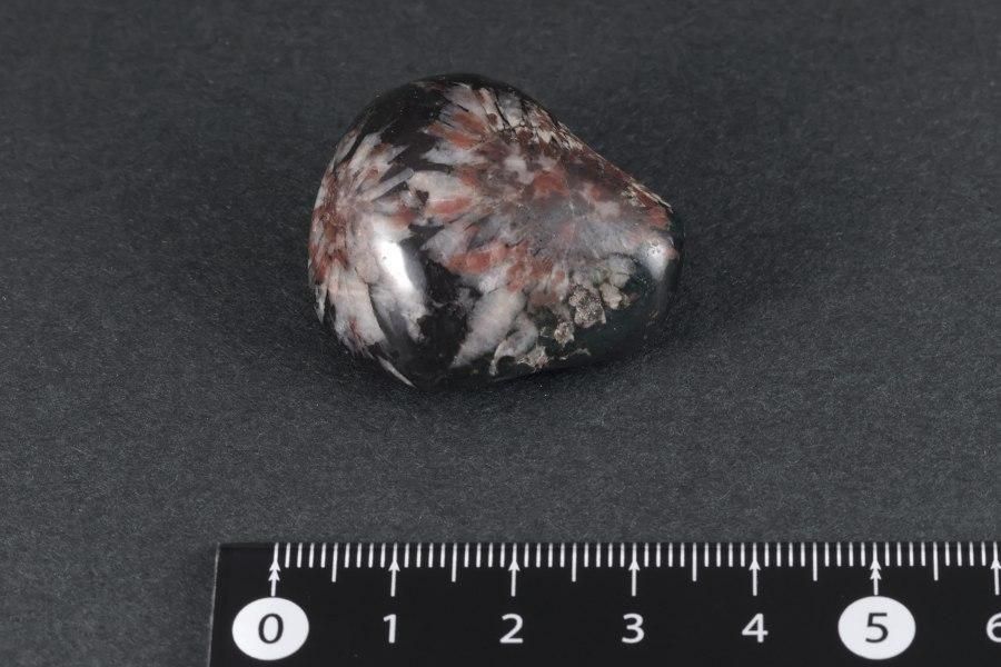 根尾谷産 菊花石 40.4g｜国産 原石 通販 キラリ石