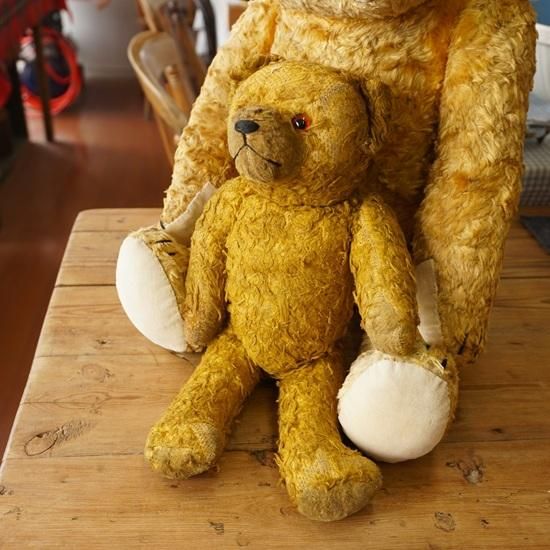 イギリス ヴィンテージ ぬいぐるみ テディベア 鼻の高いちょっと巻き毛