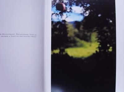 テリ・ワイフェンバック Terri Weifenbach / Lana - Thursday Books