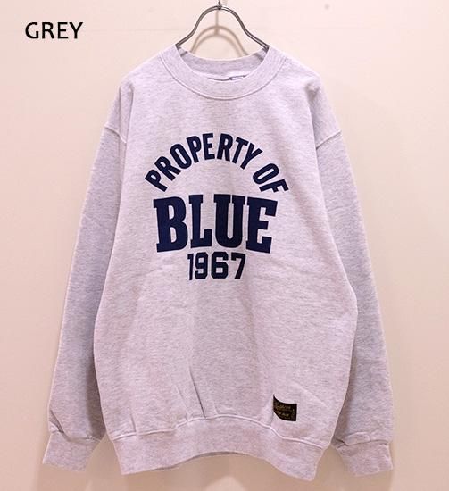 ブルーブルー SOUTHERN MFG CO. BLUEBLUE PROPERTY OF BLUE スウェット
