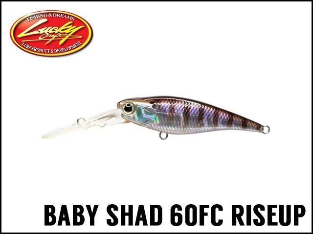 ラッキークラフト/ベビーシャッド60FC RISE UP - HONEYSPOT