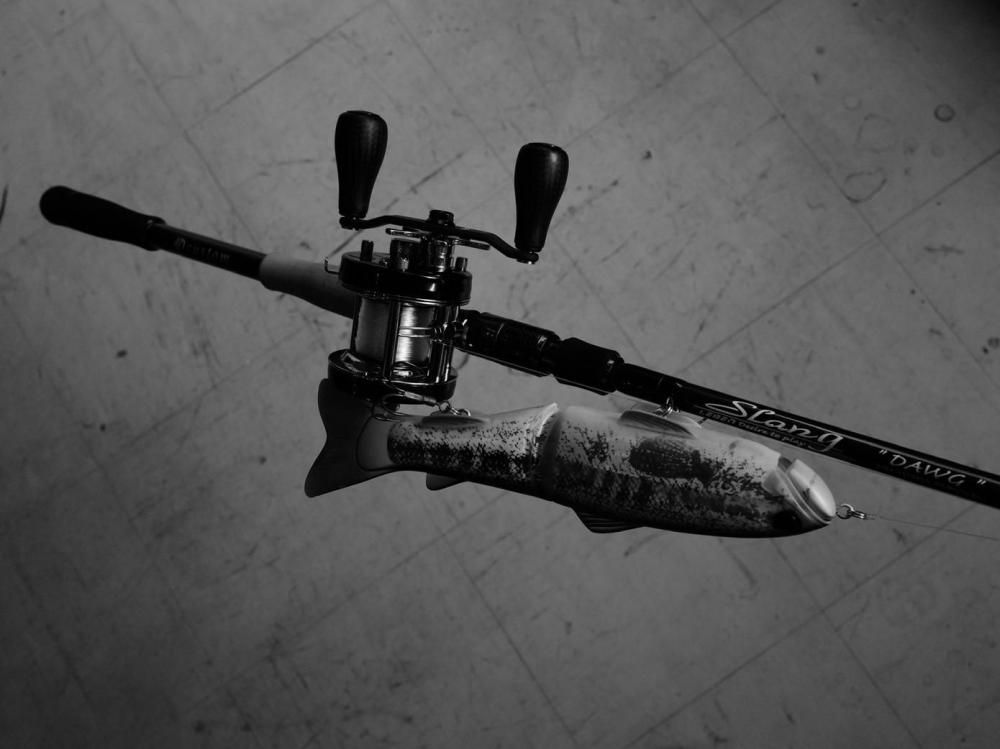 予約販売】デジーノレーベン/スラング LSR-C74XXHRX [WD Custom] 【1