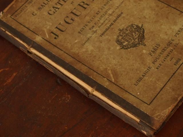 1882年のアンティーク本 - アンティーク食器と雑貨のお店 lincs