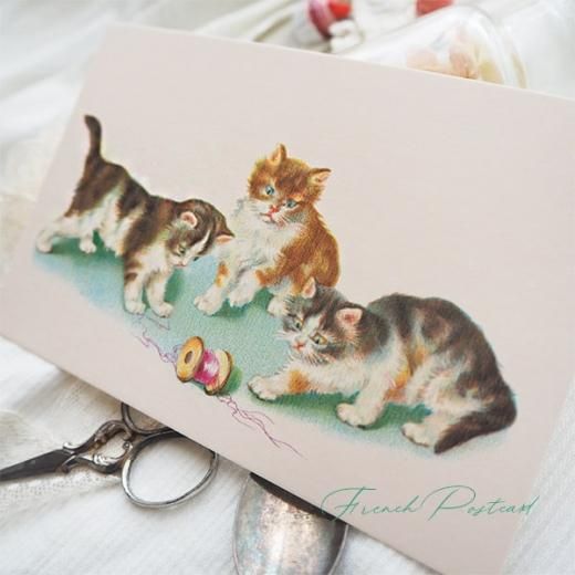 フランスアンティーク 愛らしい猫さんたちのbox フランスアンティーク