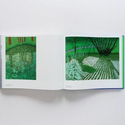 デイヴィッド・ホックニー【David Hockny 25】 - 京都にある、美術洋書