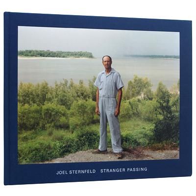 ジョエル・スターンフェルド【Stranger Passing】 - 京都にある、美術