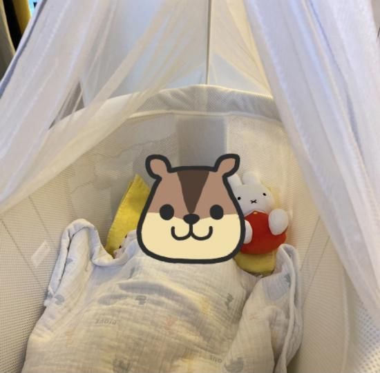 ベビービョルンクレードルハーモニーのレンタル｜ベビーズママ