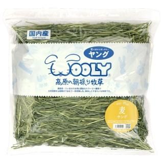 高原の朝採り牧草 麦 ヤング450g【2025年8月23日入荷】 - うさぎ専門店