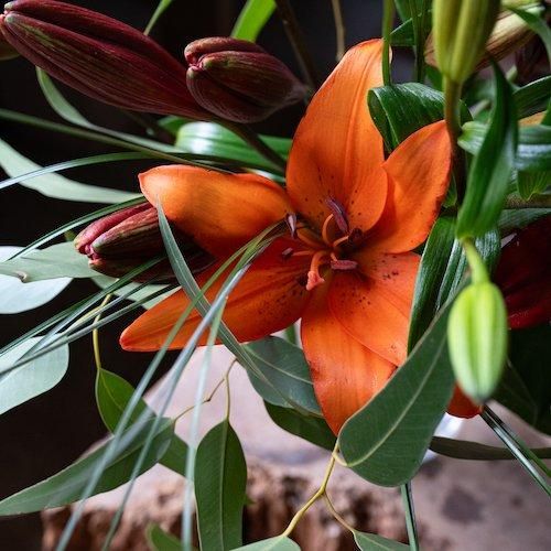 イクスフローリストが厳選した百合の花束- 東京・中目黒・蔵前・代々木