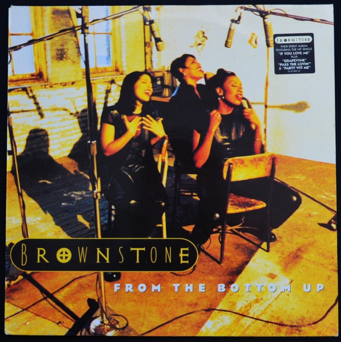 BROWNSTONE / FROM THE BOTTOM UP (1LP) - HIP TANK RECORDS