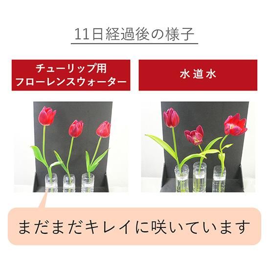 フローレンスウォーター 切り花延命剤 チューリップ用の通信販売