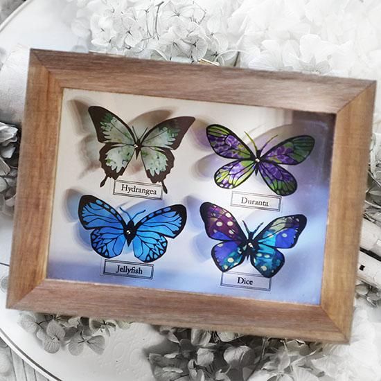 蝶標本箱オブジェ（4匹入り） - 海福雑貨通販部