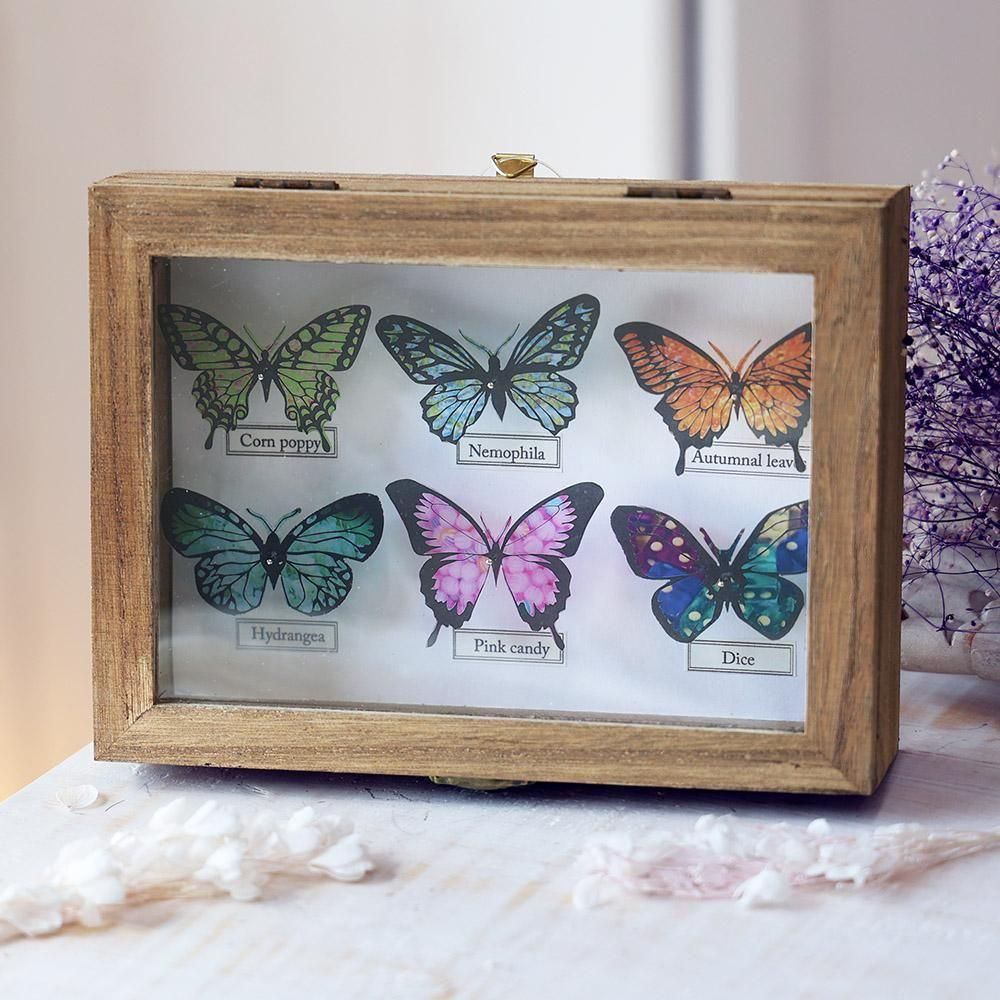 蝶標本箱（6匹入り） - 海福雑貨通販部