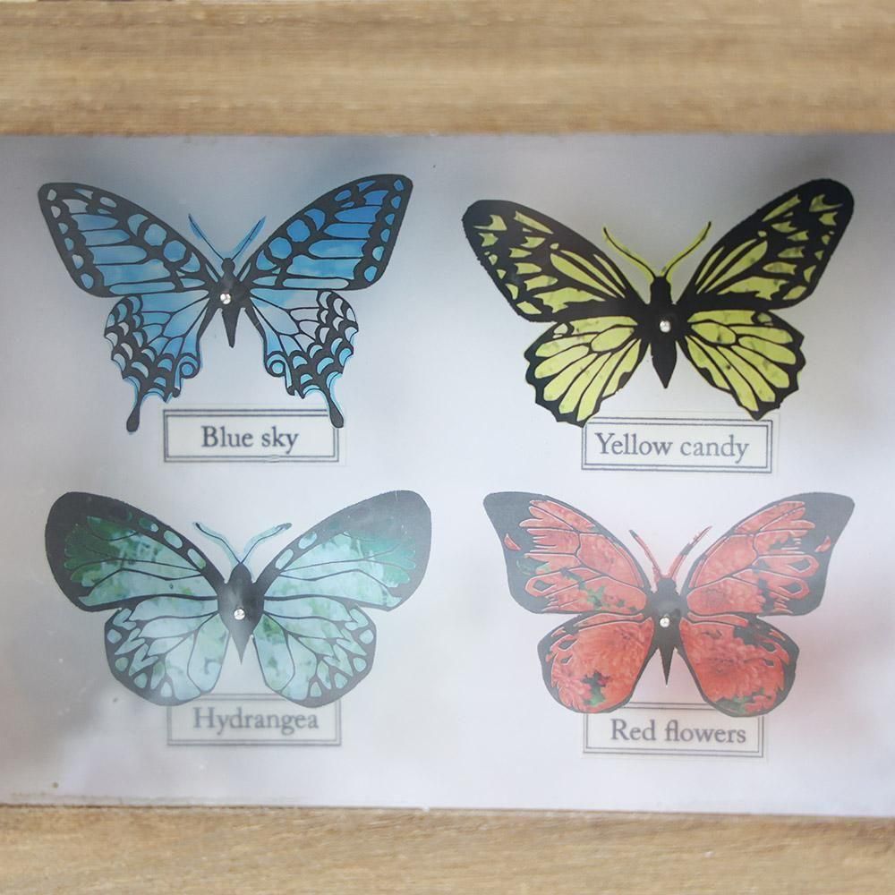 蝶標本箱オブジェ（4匹入り） - 海福雑貨通販部