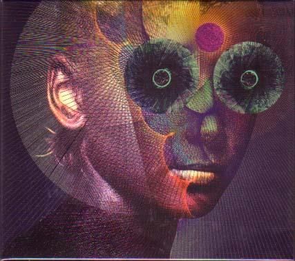 DIR EN GREY / THE INSULATED WORLD (初回生産限定盤 2CD) - DISK HEAVEN