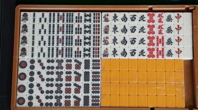 期間限定 イス割引キャンペーン】全自動麻雀卓 MJ-REVO Pro 静音タイプ