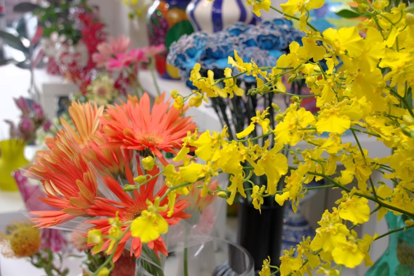 岡山市中区】COBALT BLUE（コバルトブルー） | 【新店特集】岡山市