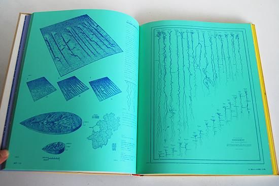 世界のグラフィックデザイン 1巻 ヴィジュアル コミュニケーション