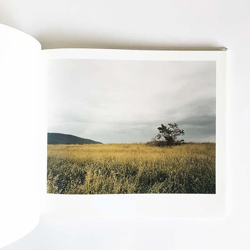 JOEL STERNFELD: OXBOW ARCHIVEジョエル・スタンフェルド - 古本買取 2