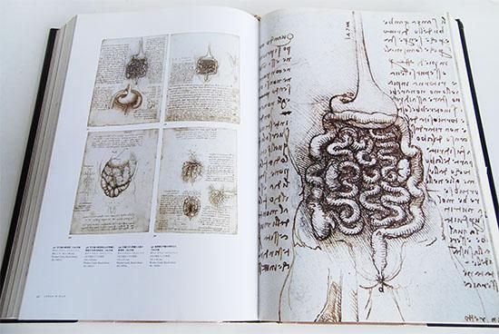 レオナルド・ダ・ヴィンチ 全絵画作品・素描集 フランク・ツォルナー