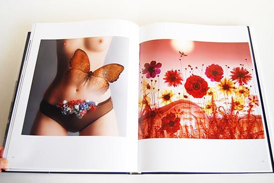 SAM HASKINS Fashion Etcetera サム・ハスキンス 写真集 - 古本買取