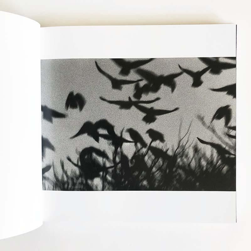 RAVENS MACK Edition by MASAHISA FUKASE *unopened鴉 マック版 深瀬