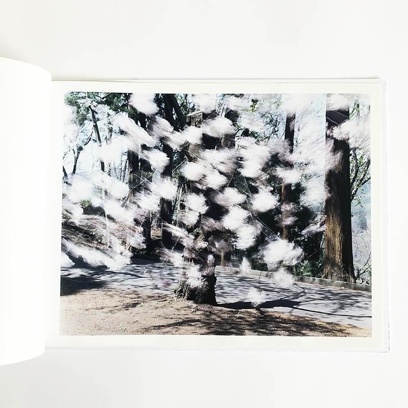 SAKURA by Risaku Suzuki桜 鈴木理策 - 古本買取 2手舎/二手舎 nitesha