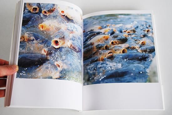 うたたね 初版二刷 川内倫子 写真集 UTATANE Second printing RINKO