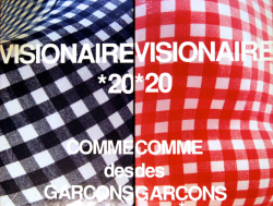 VISIONAIRE No.20 ヴィジョネア 第20号 青&赤 COMME des GARCONS