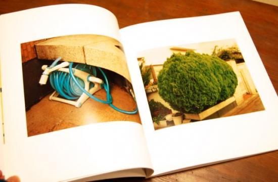 生きている 佐内正史 写真集 IKITEIRU Masafumi Sanai - 古本買取 2手