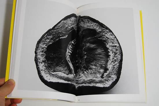 エロトス 荒木経惟写真全集 16 EROTOS The Works of Nobuyoshi Araki