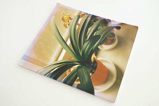 生きている 初版 佐内正史 写真集 IKITEIRU First edition Masafumi