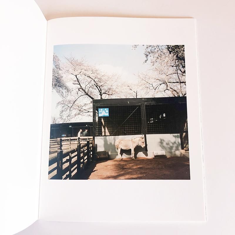 THESE ARE DAYS by Mikiko Hara原美樹子 - 古本買取 2手舎/二手舎