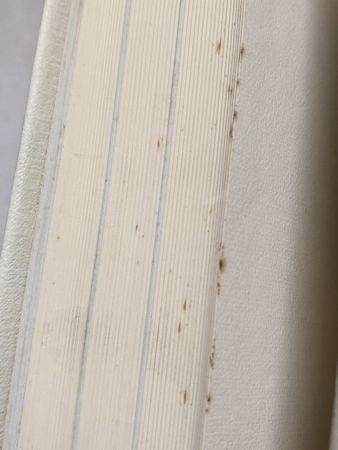 シャンソンのアーティストたち 藪内久 松本工房