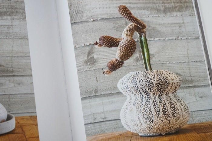 アダムシルヴァーマン Adam Silverman 器 食器 ヒースセラミック