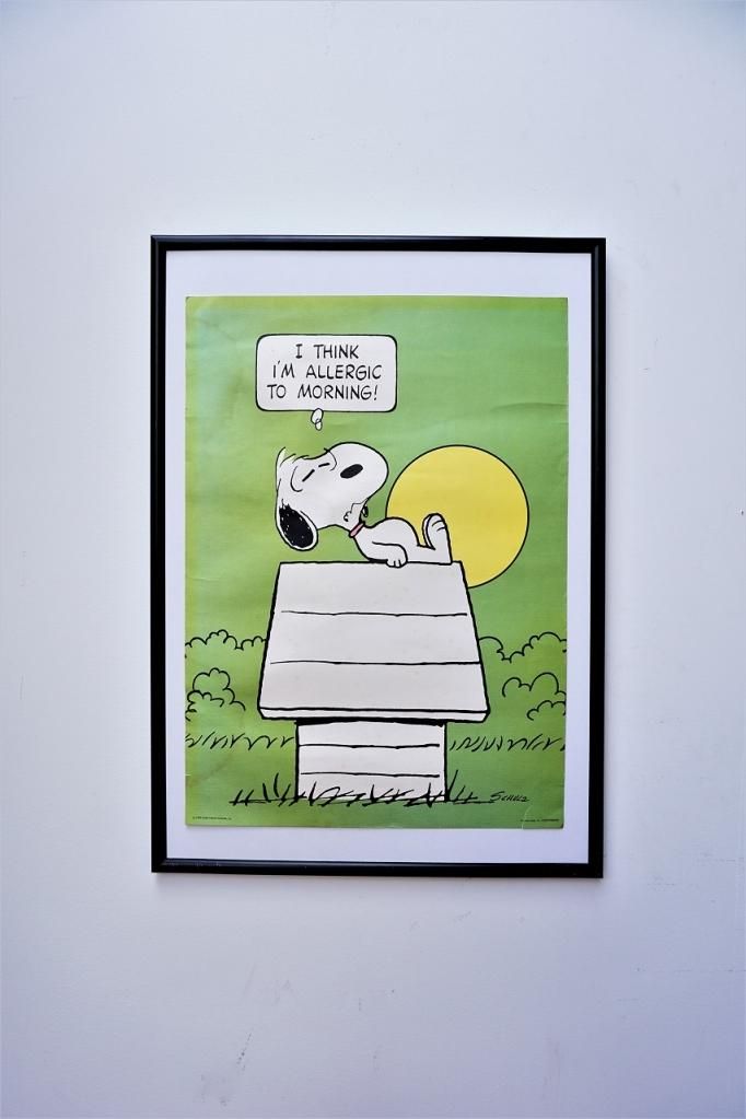 1950's ヴィンテージ 