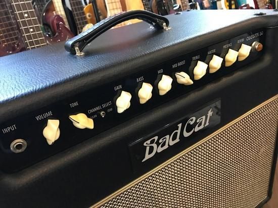 BAD CAT COUGAR 50 バッドキャットのコストパフォーマンス機種