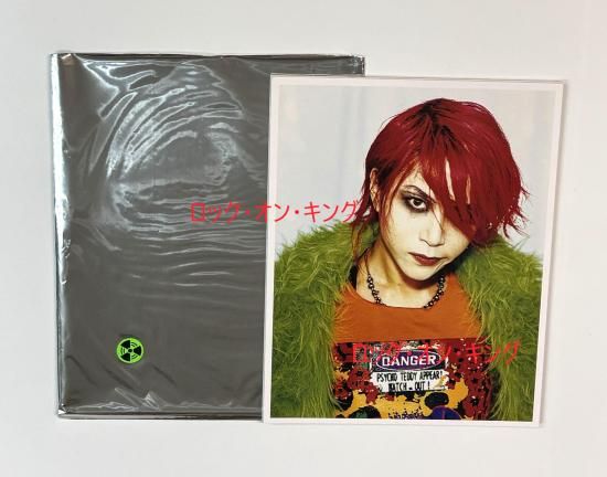 hide ポスター10枚セット 撮影HIDEO CANNO A4サイズ hide最後の写真集