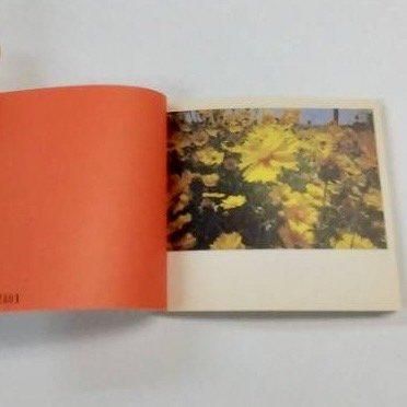 BUMP OF CHICKEN 限定写真集 ヒストリーブック インタビュー＆写真集