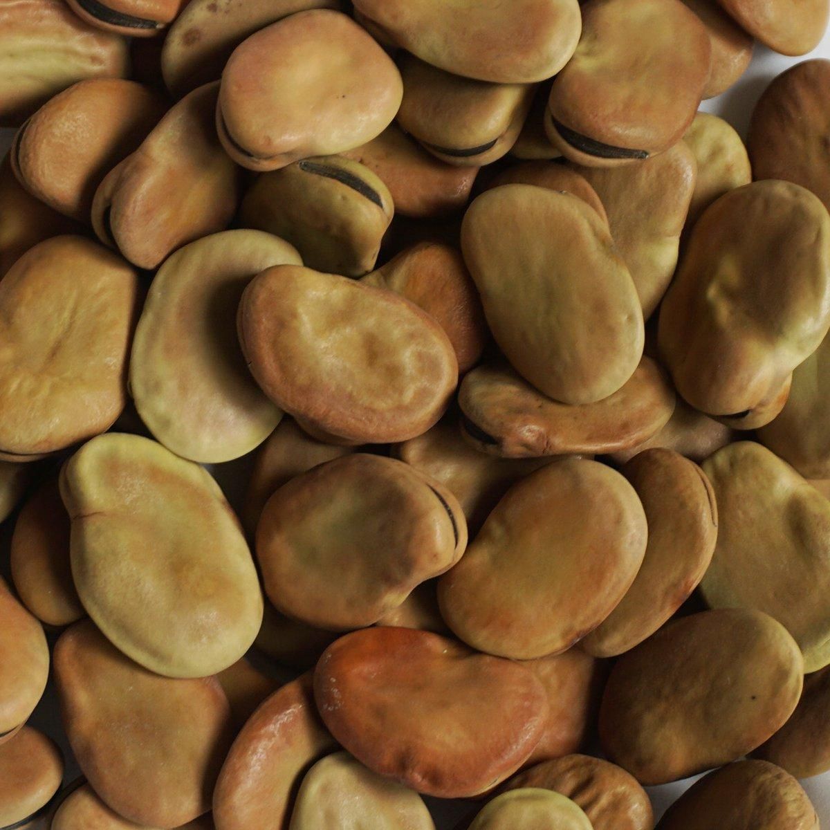 一寸 そら豆 1kg ソラマメ 空豆 蚕豆 Broad bean Fava bean お歯黒