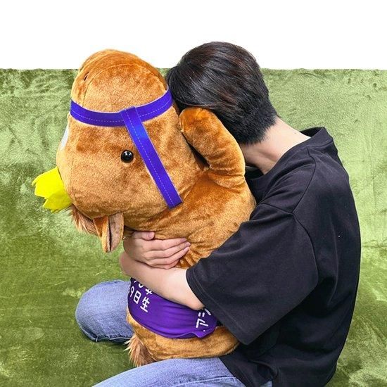 推し馬コレクション：エアジハード ハグぐるみ | 馬site グッズを買っ