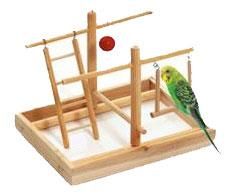 バードアスレチック (5) | 小型鳥用の遊び場- とりきち横丁